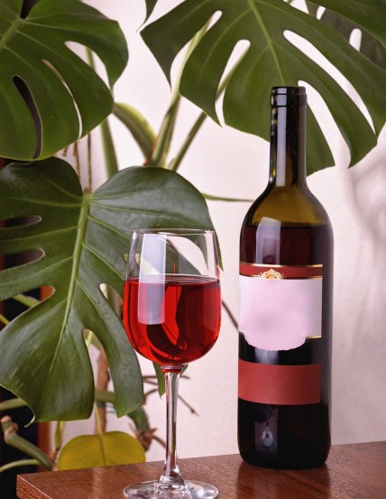 Special Offers and Discounts